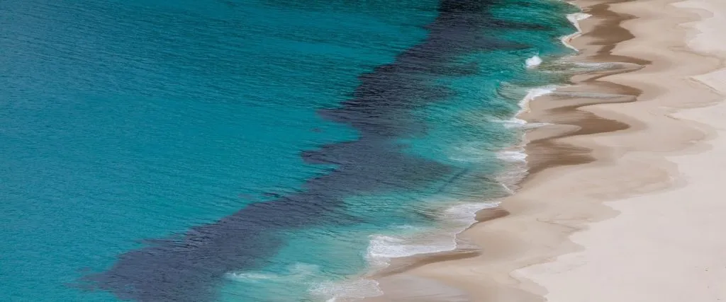 purpose-driven wealth management, beach, perth